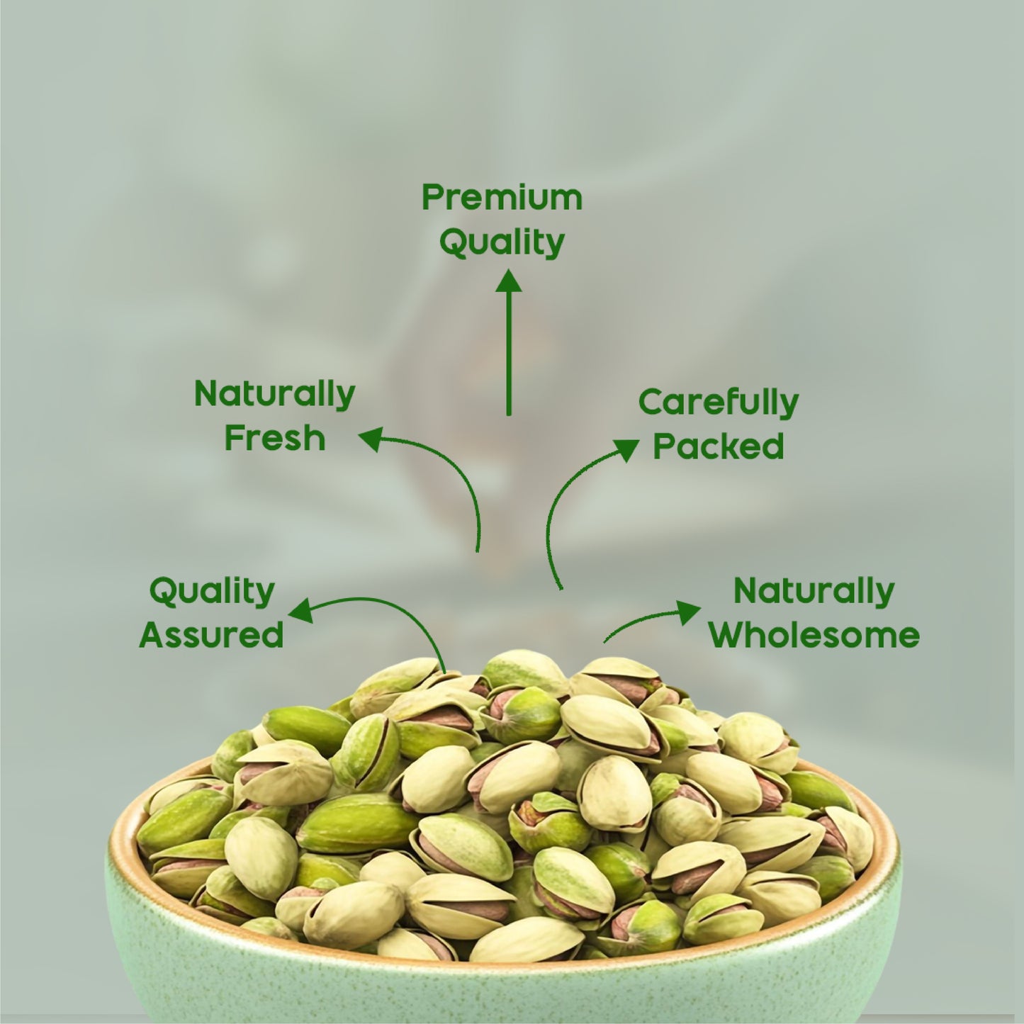 Premium Pistachio